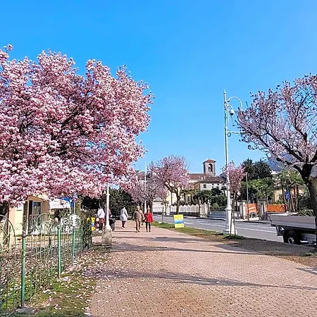 Al Dolce